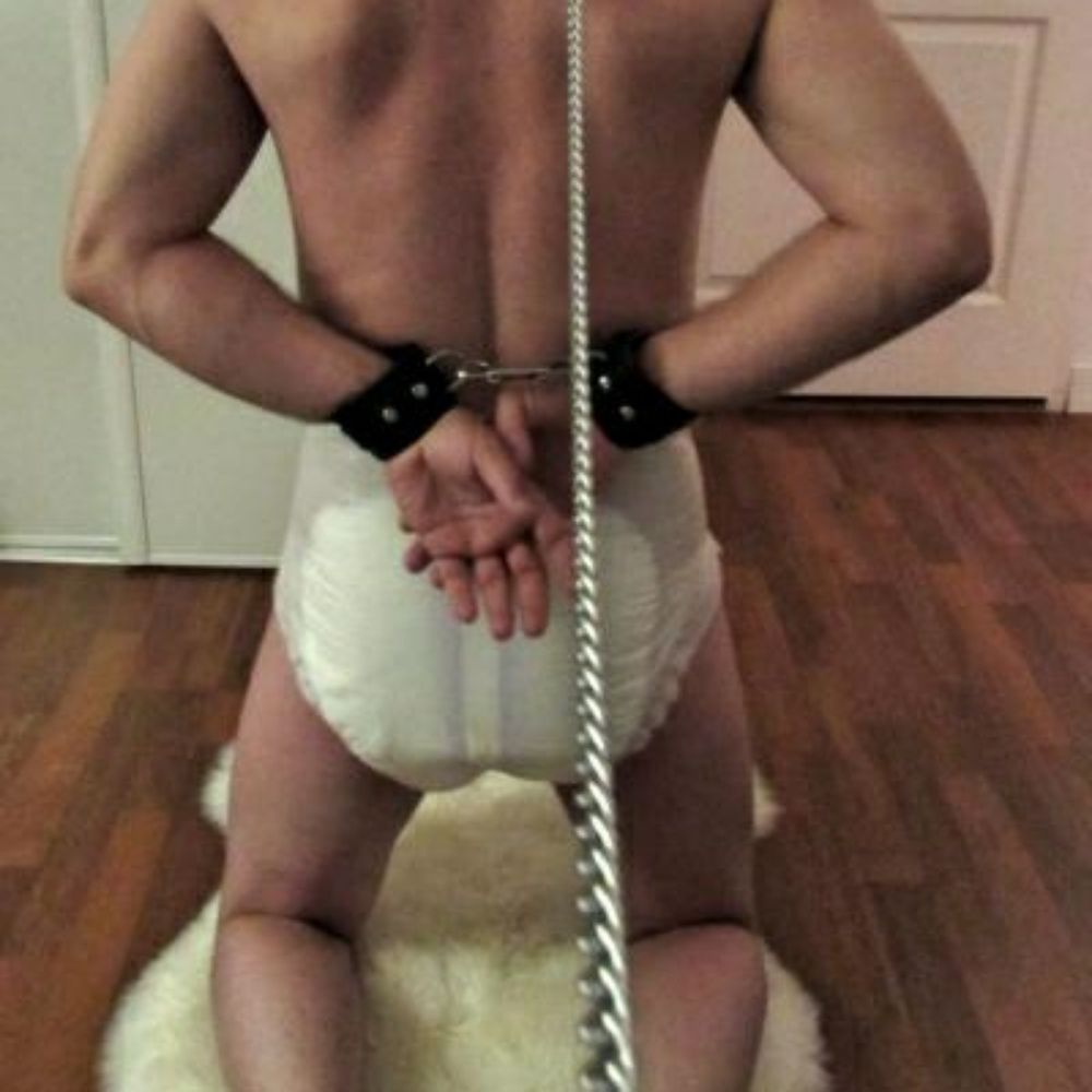 Padded Pup Jax