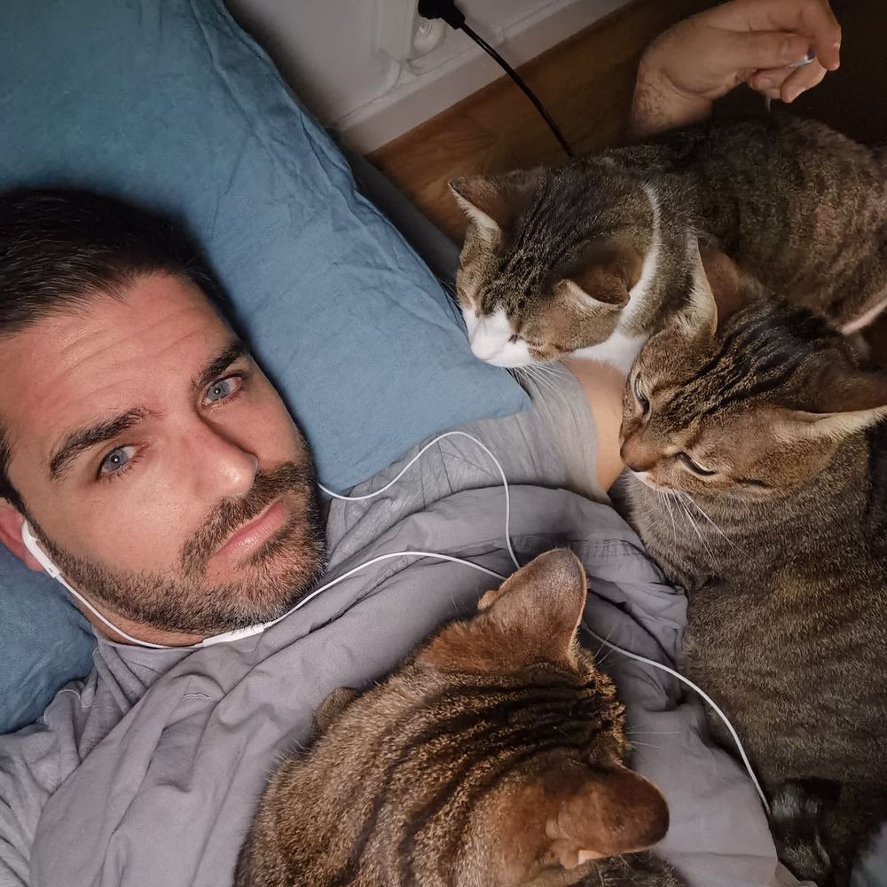 The Cat's Library