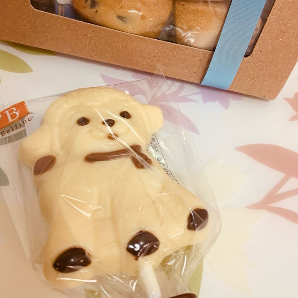 のこ