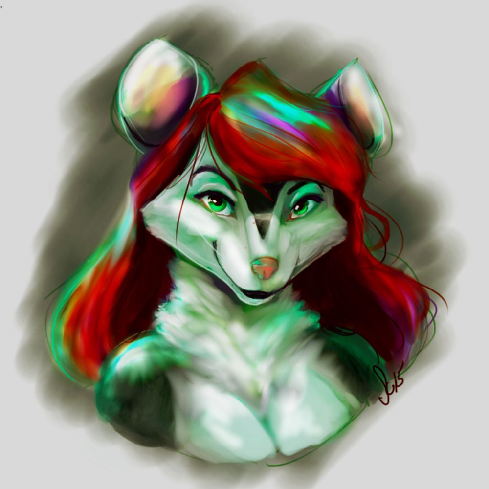 Vaid O'Possum