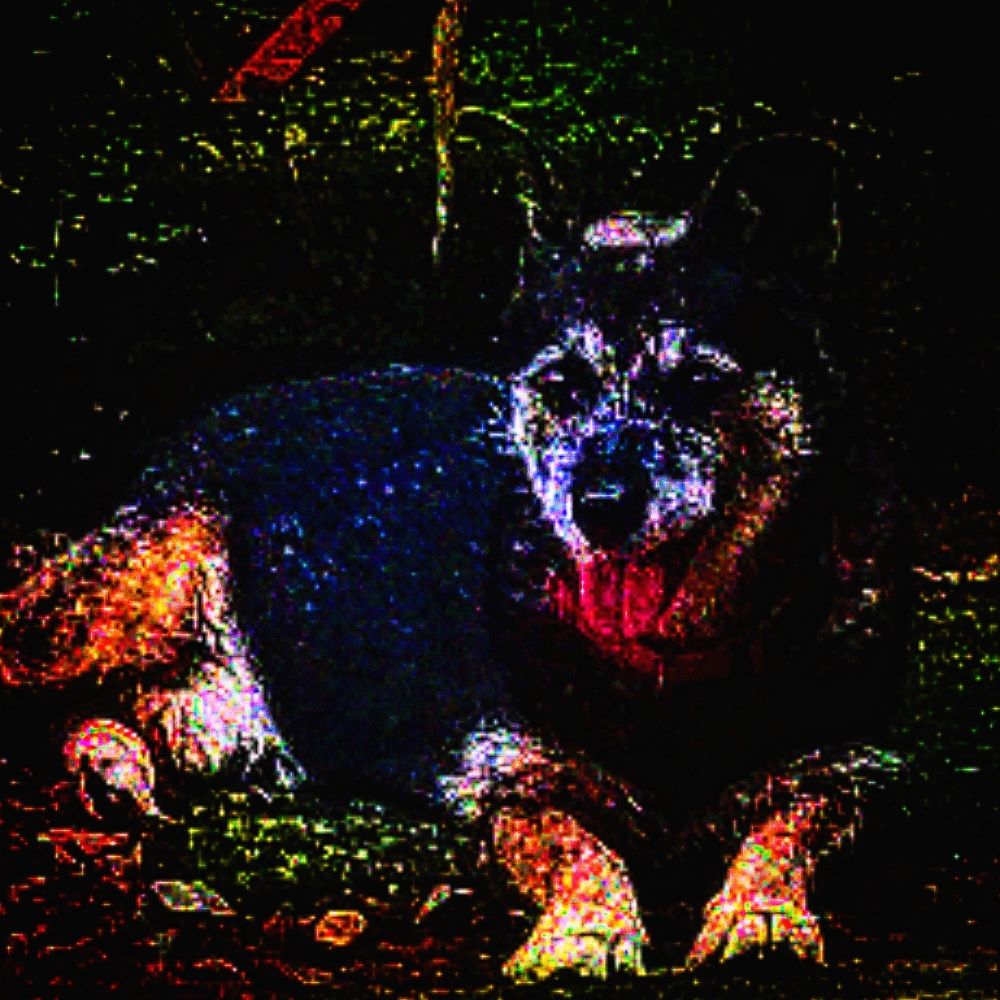 bas