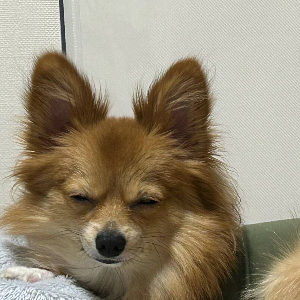 みはら