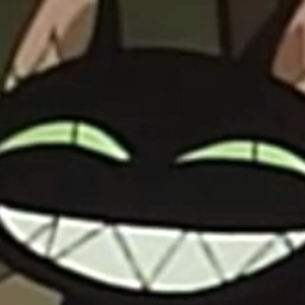 StrayLilCat