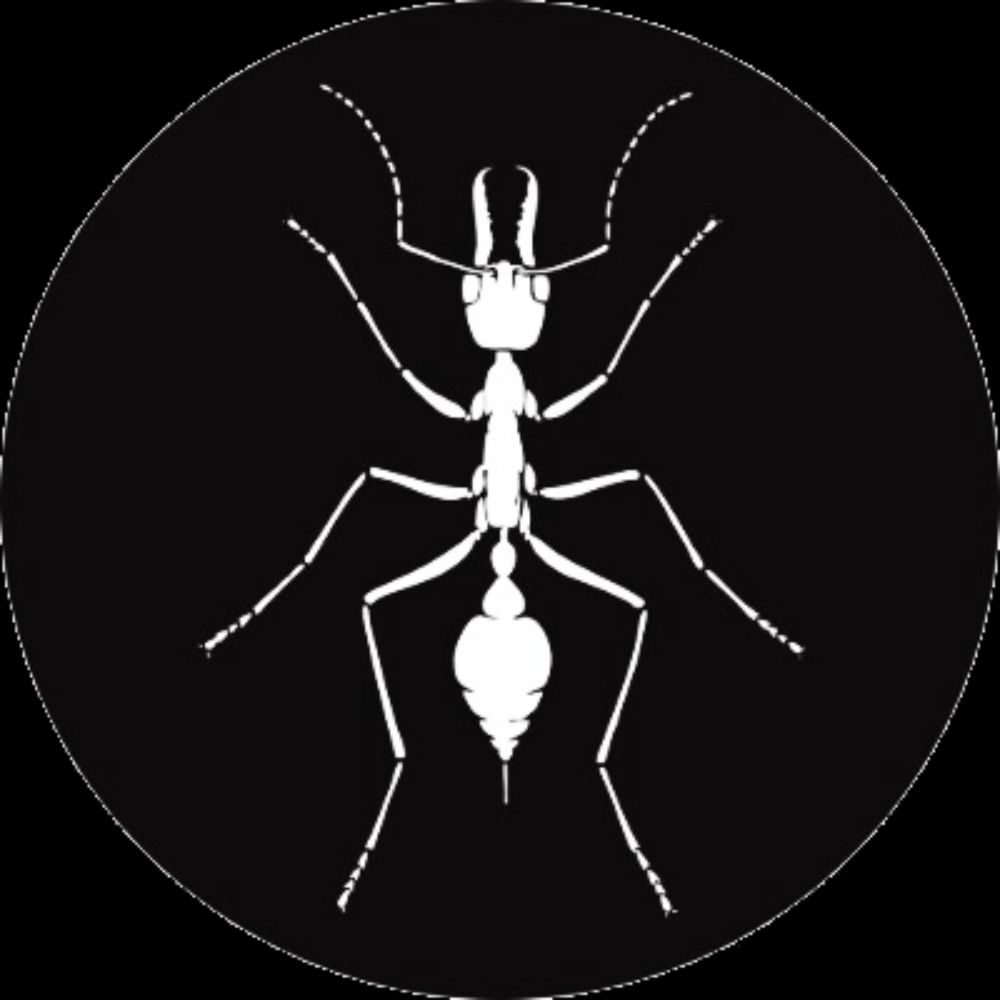 Australian Entomological Society