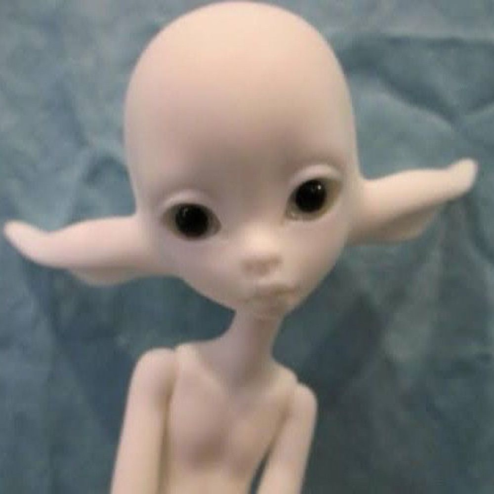 victor