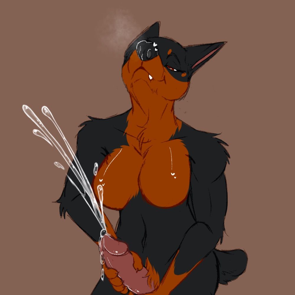 Onyx_the_Dobie