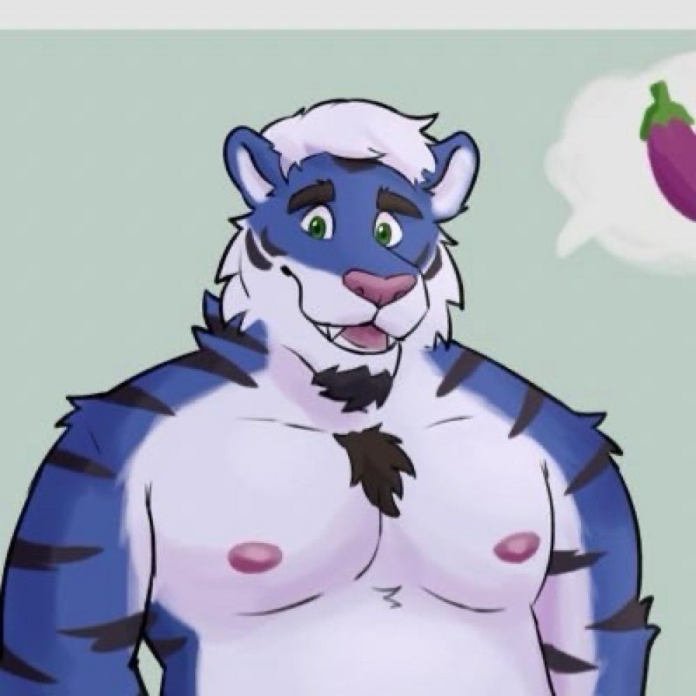 Matt the tiger 🐯