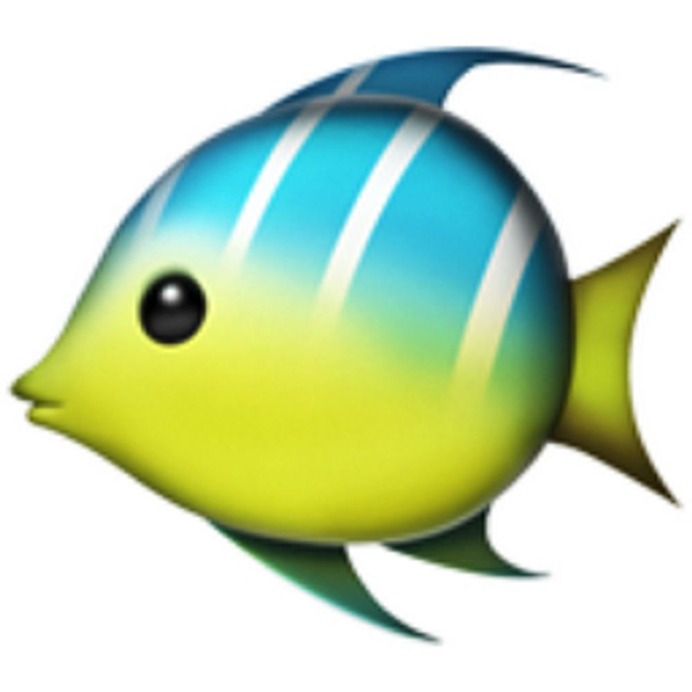Fish 🔞