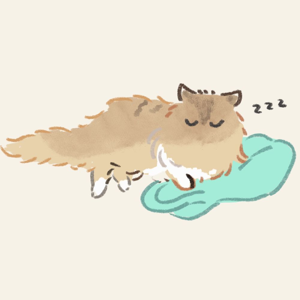 なおと∞