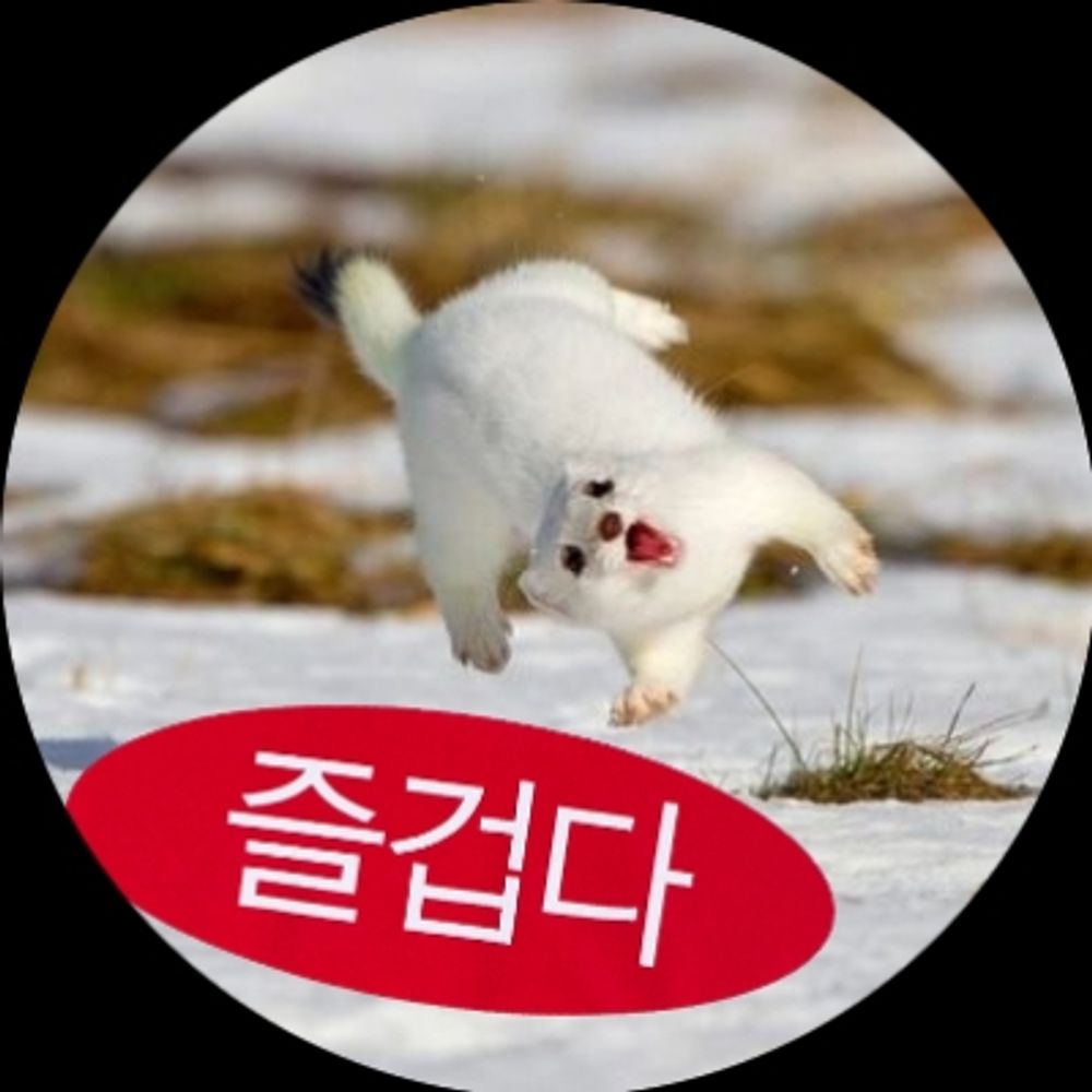 세트