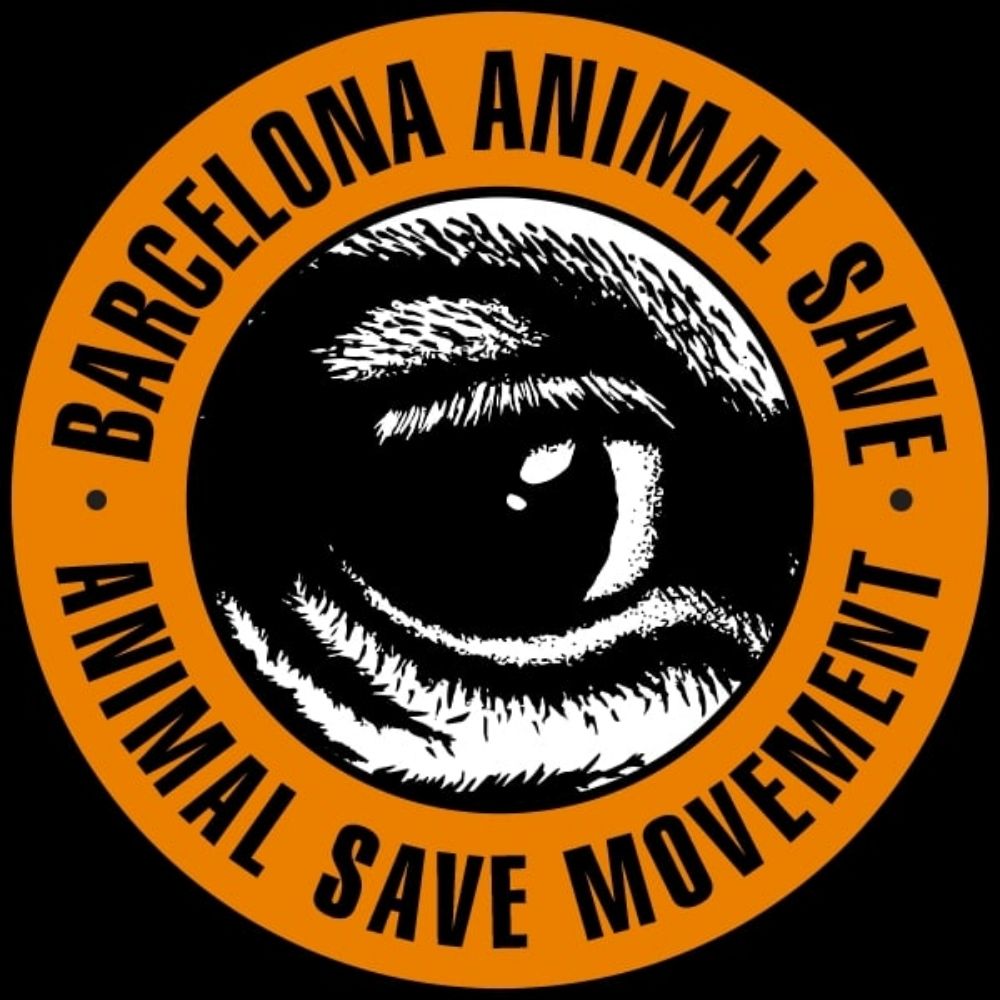 barcelonaanimal.bsky.social