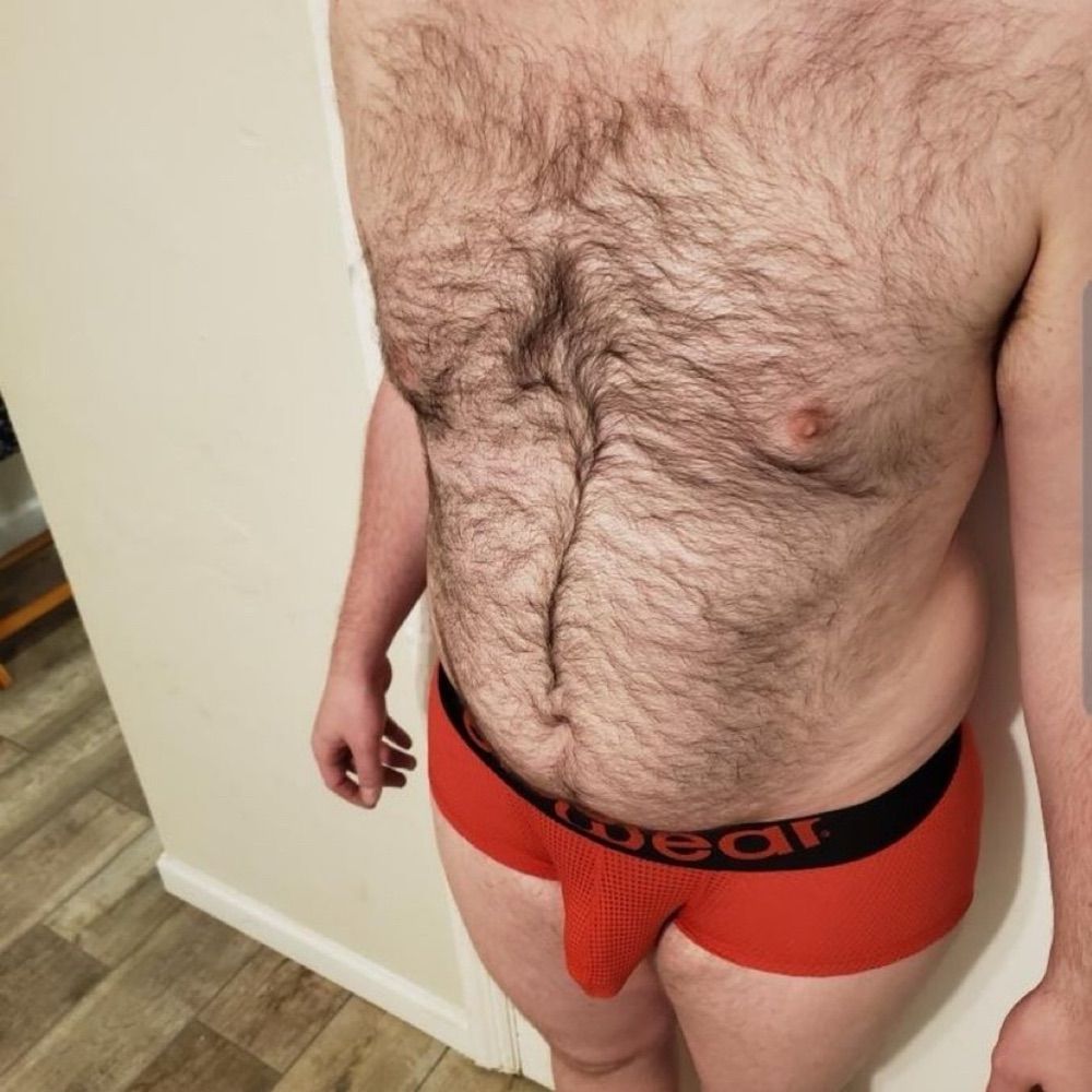 HairyBear-SC