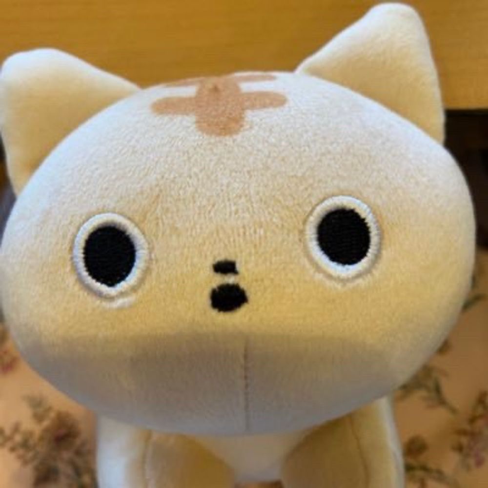冴木