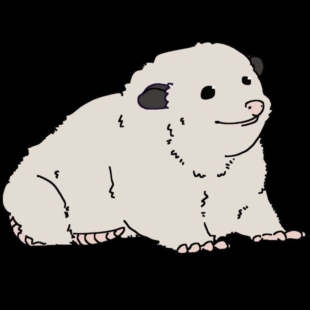 CryzkTheOpossum