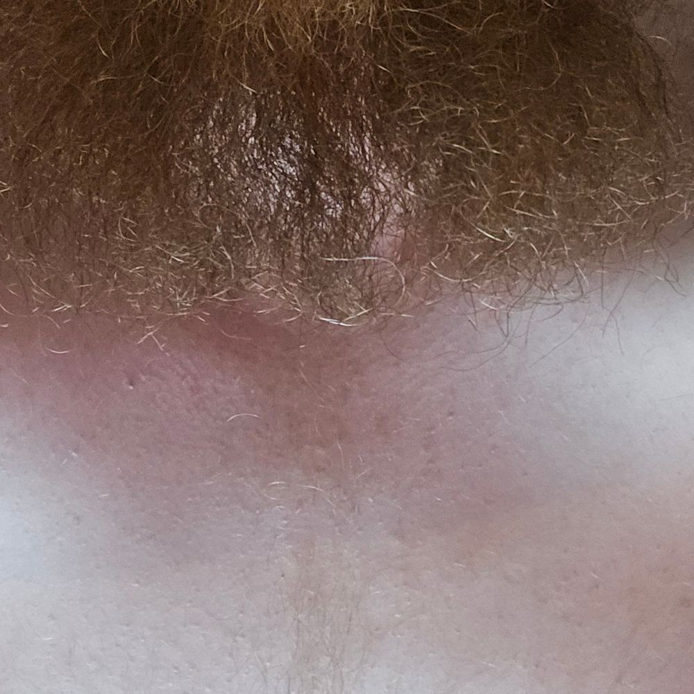 GingerBear