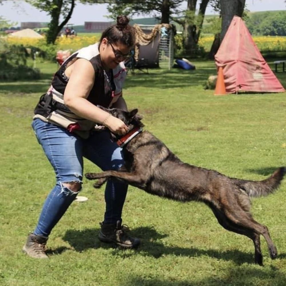 SmartHündDogTraining