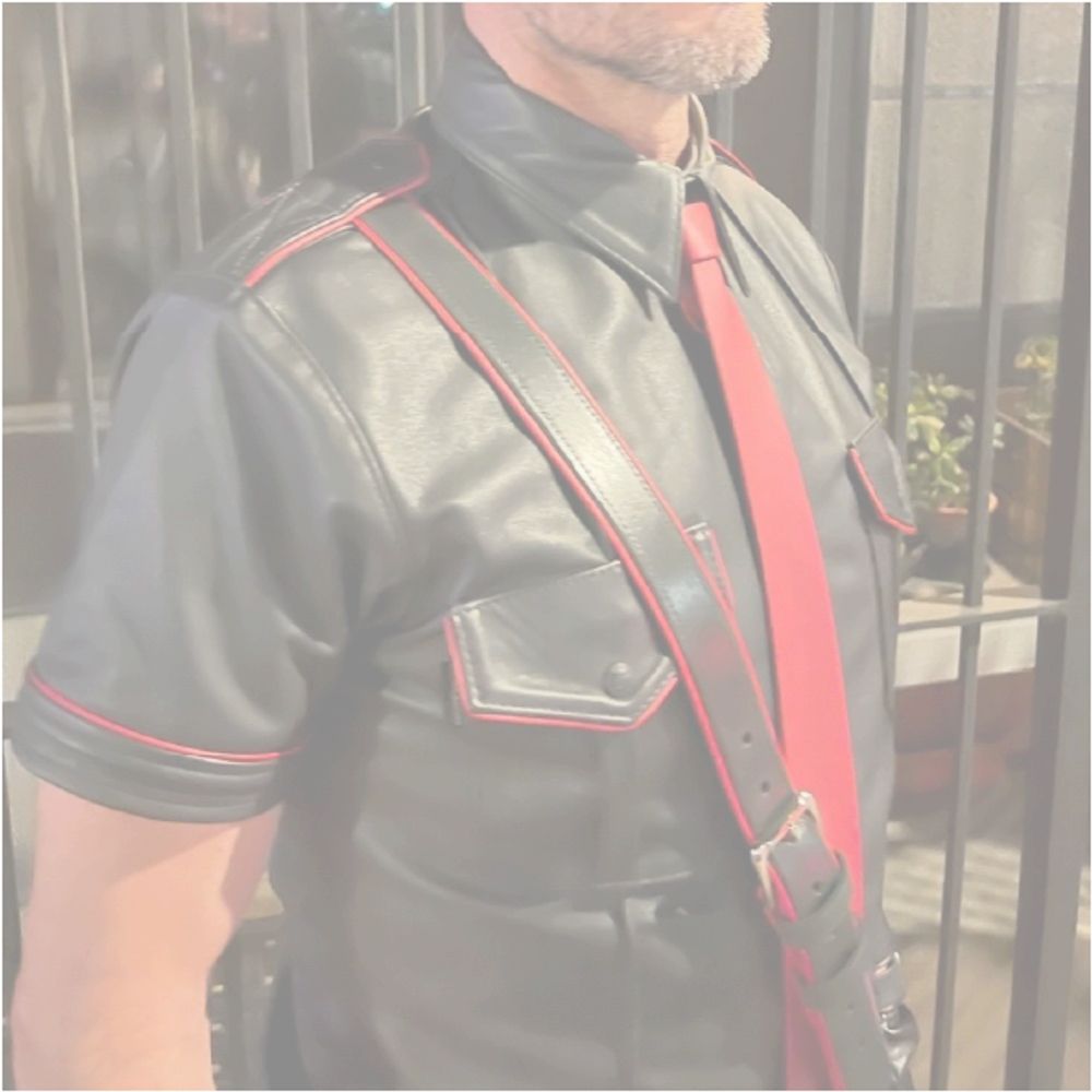BDSMdungeonSIR backup