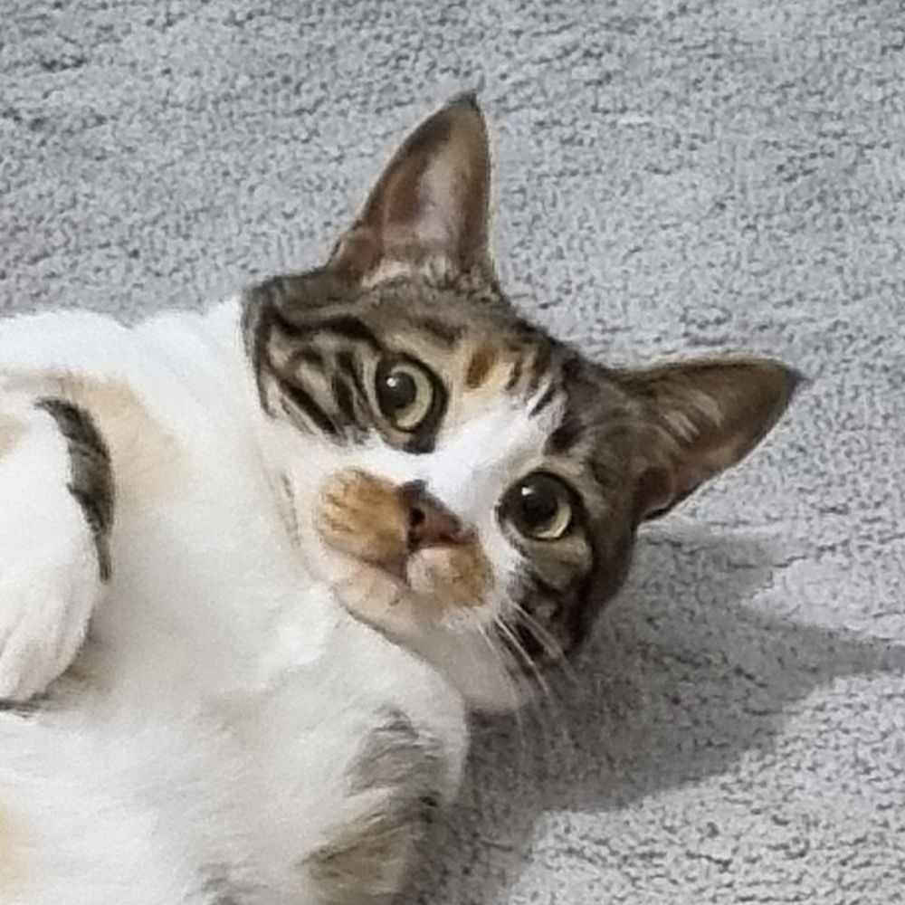 Leo
