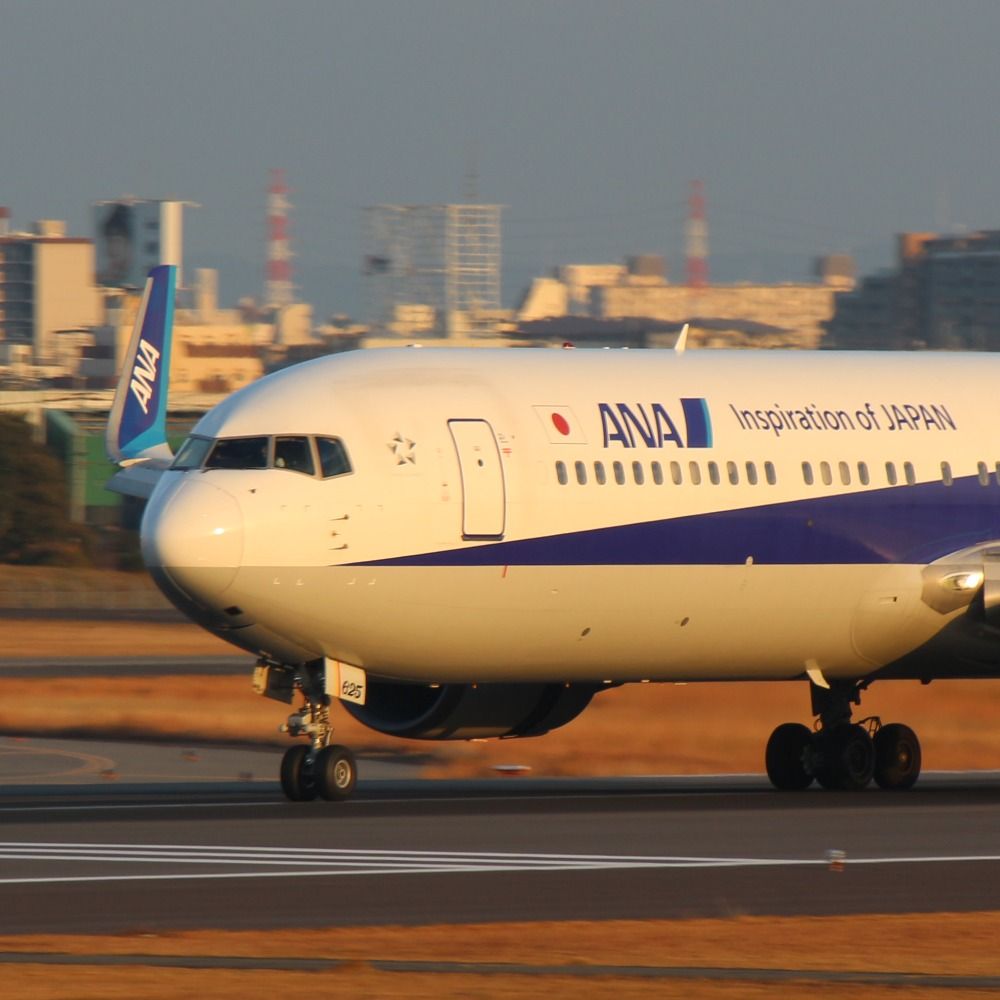 ゲリアン＠飛行機垢