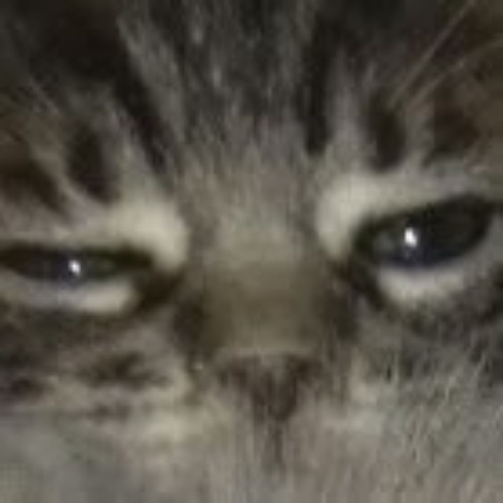 luidy