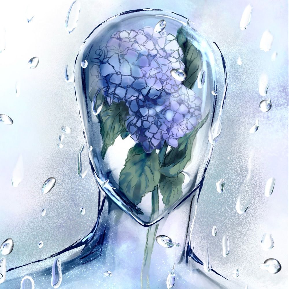雨菊すわぴ