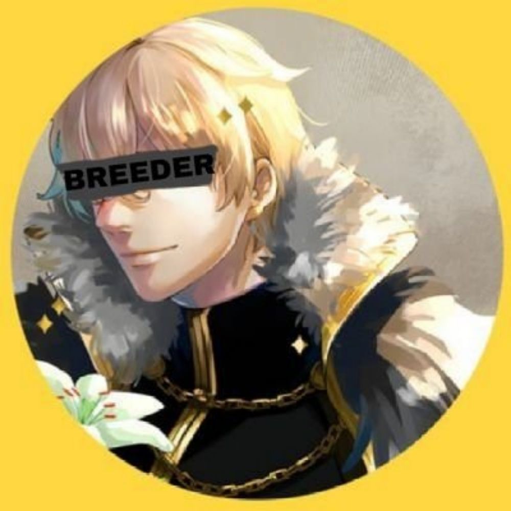 Gawain the Sun Knight