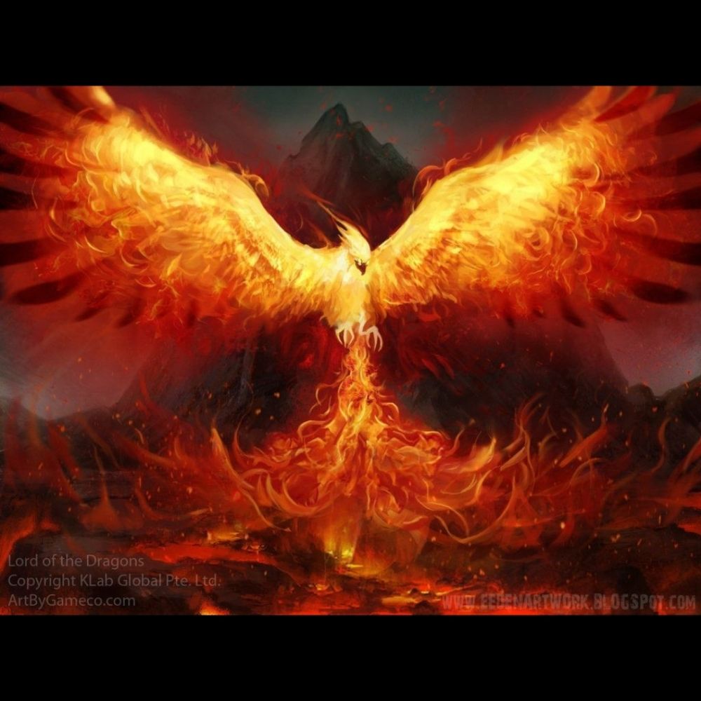 Phoenix 