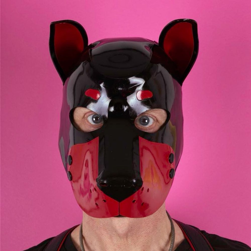 TiBo Alpha Dog