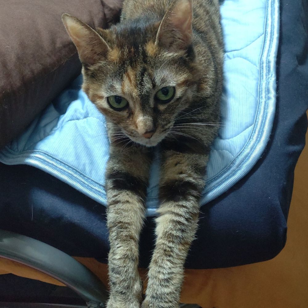早瀬