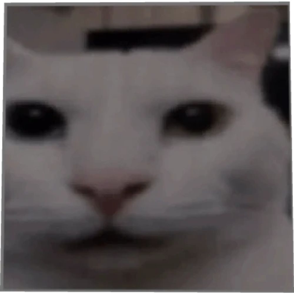 Pally