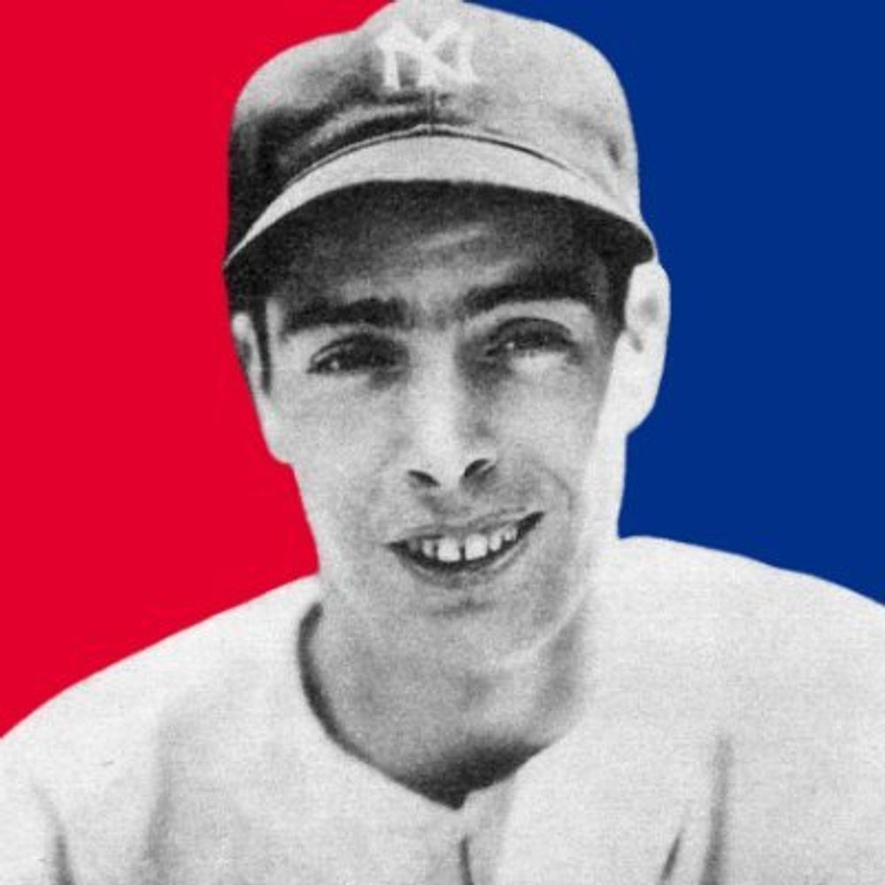 New York Yankees Collector