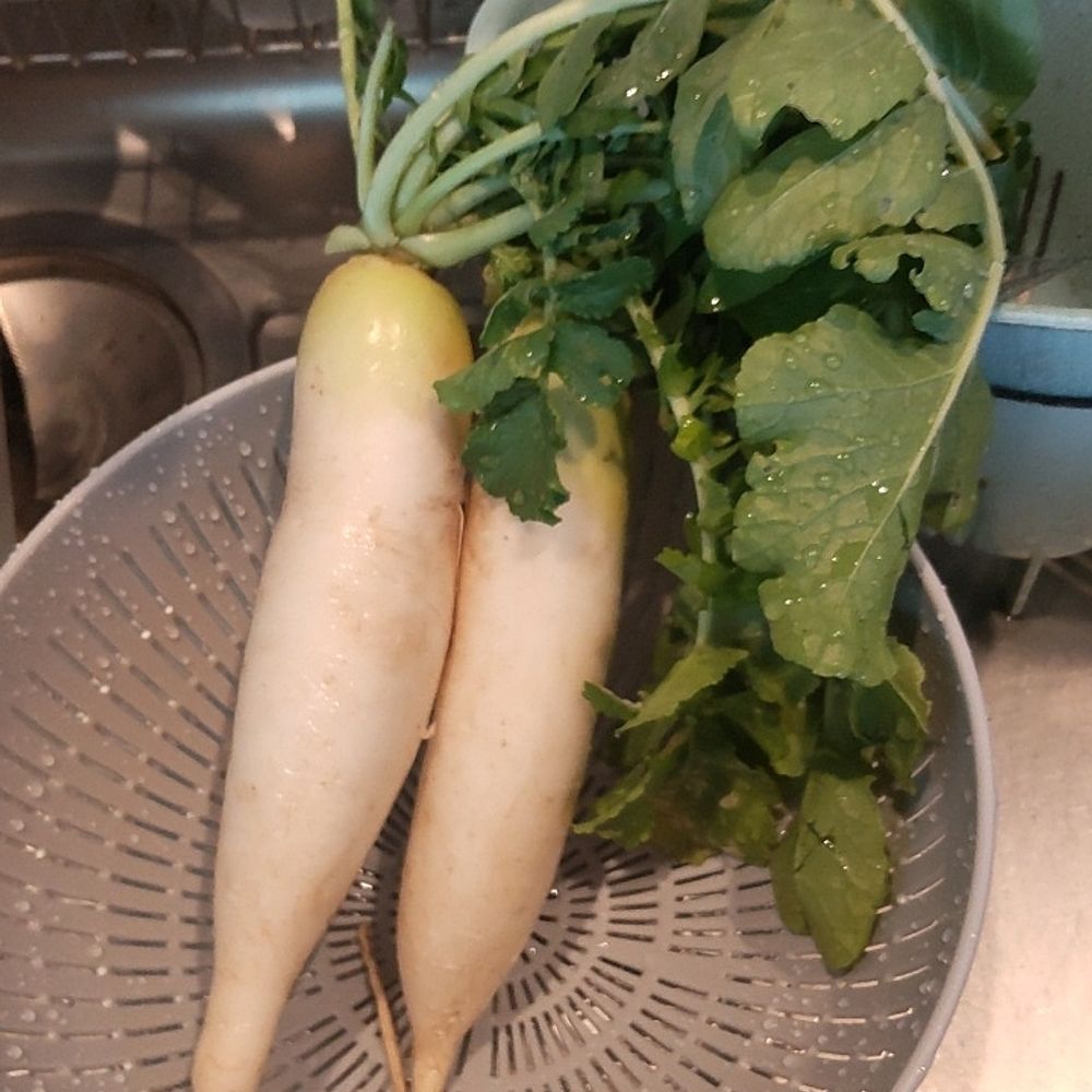 ぐう