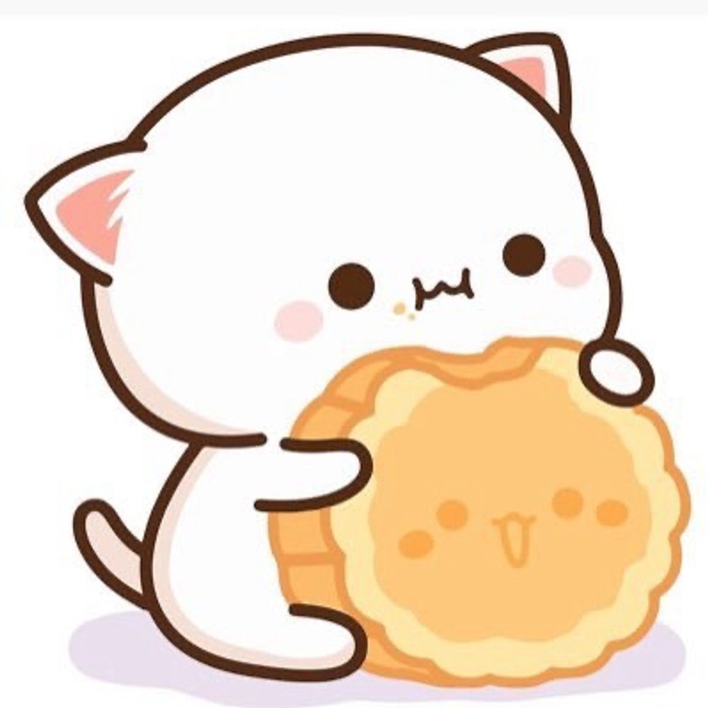 白ねこたん