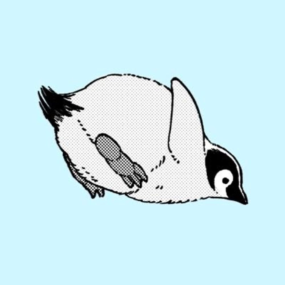 夏目靫子