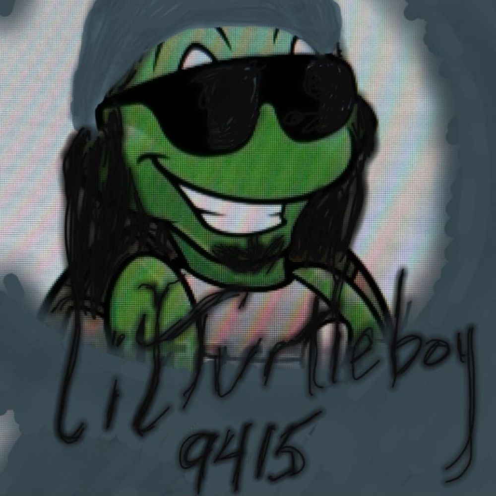 lilturtleboy