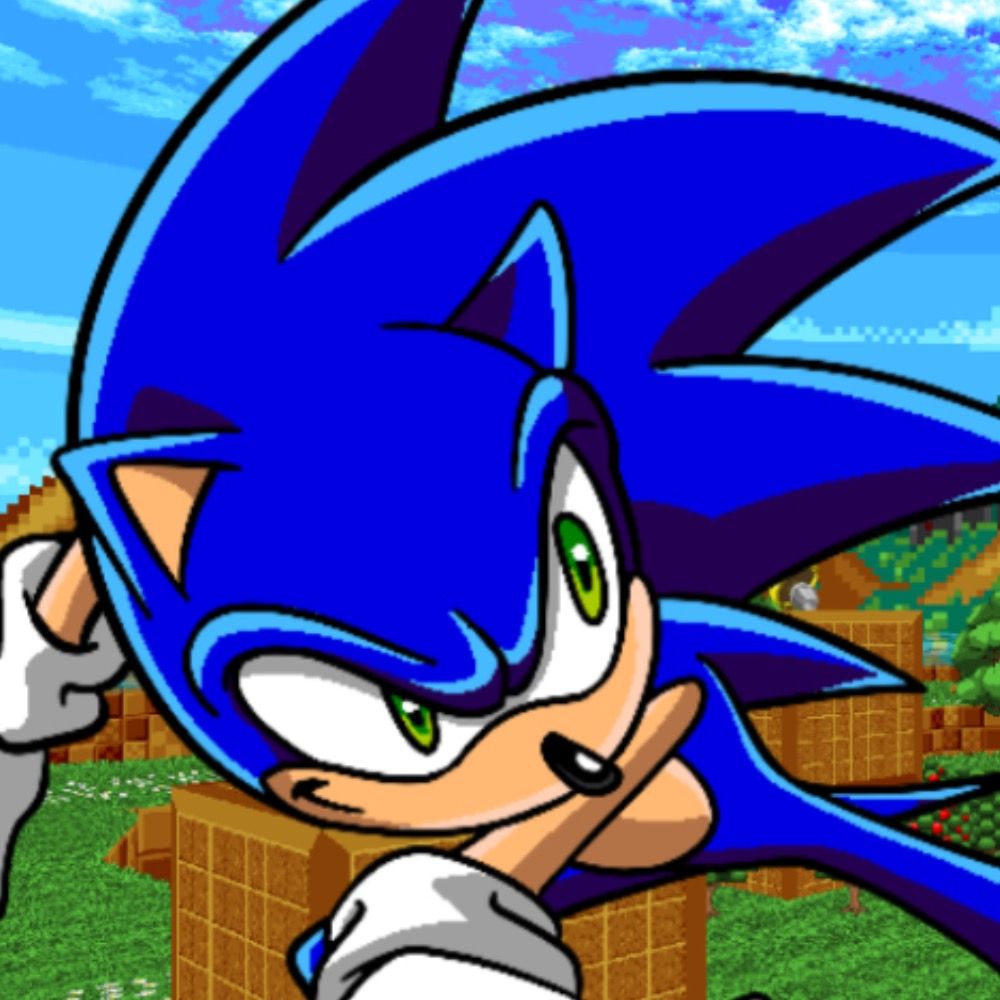 Sonic the hedgehog