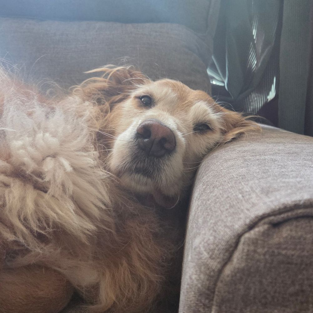 GoldenGirl