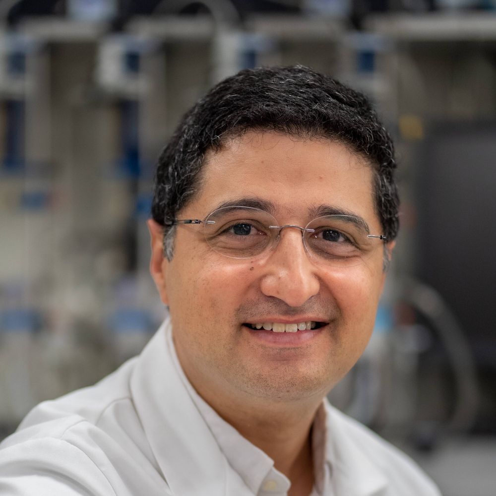 Hussein N. Yassine