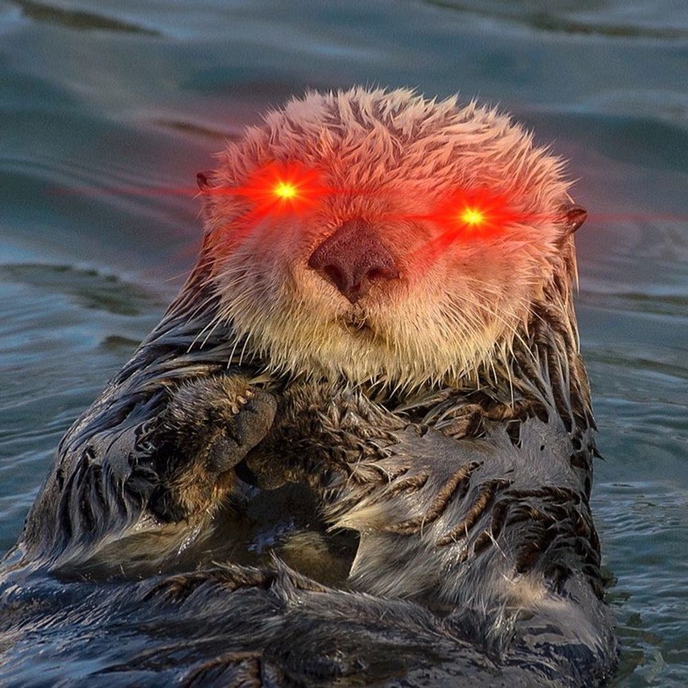 Otter
