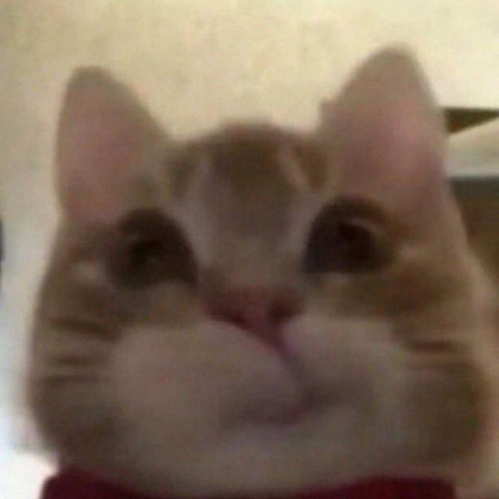 gi 