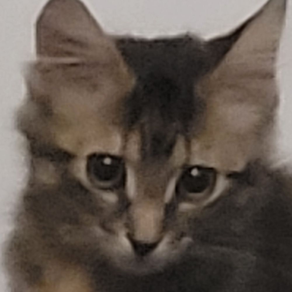 Khepri
