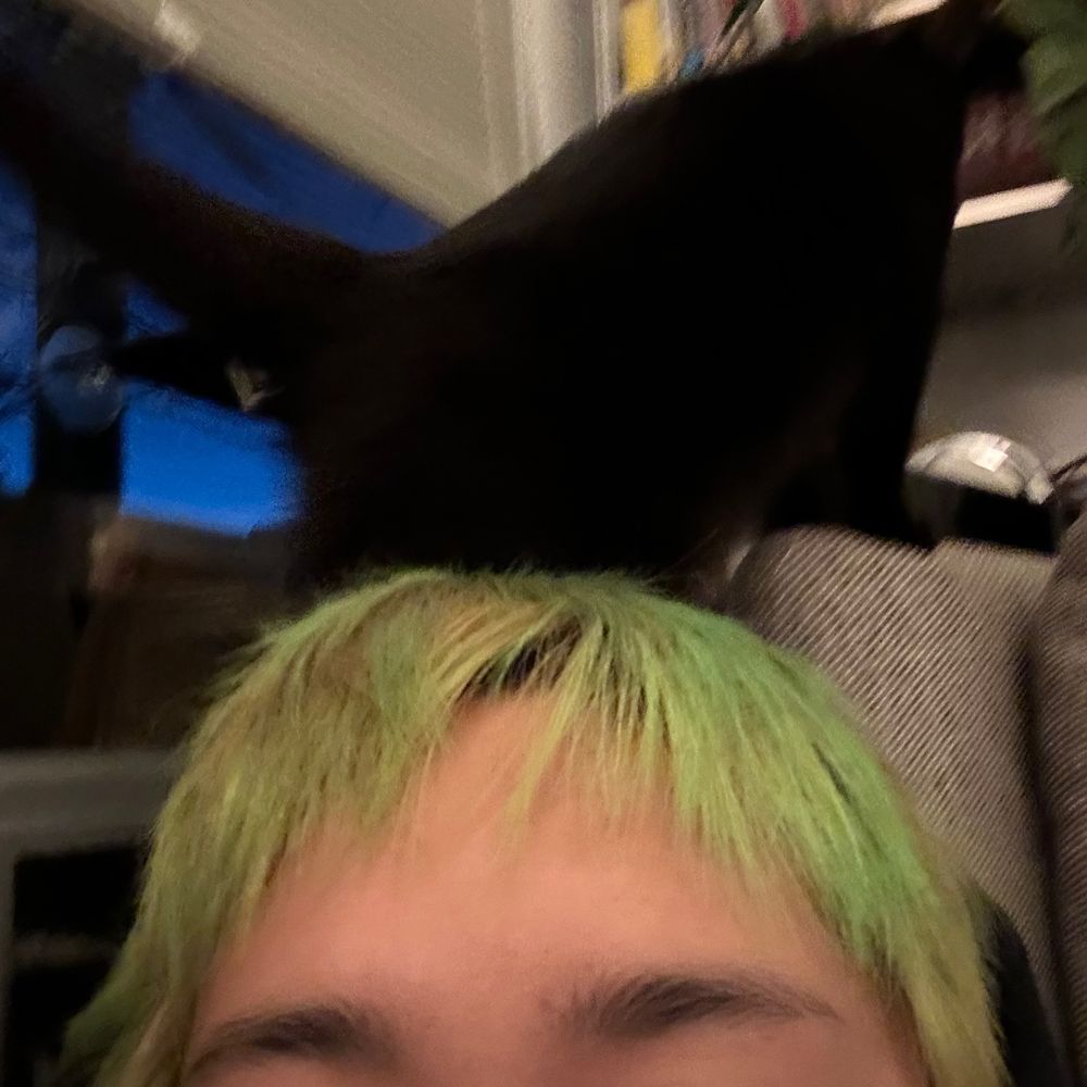 maxo
