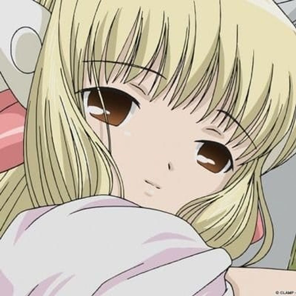 Yuki 🌸