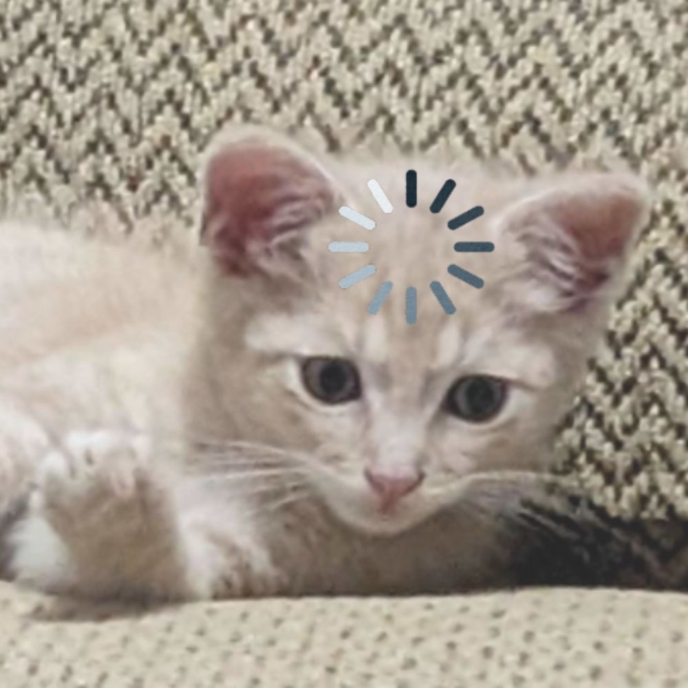 DigittyDave