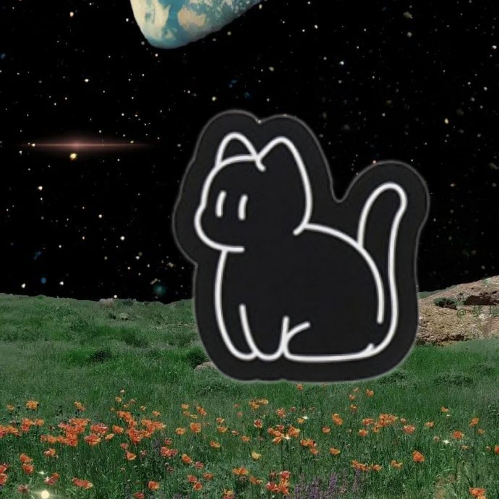 우주고냥^･-･^੭⋰˚☆