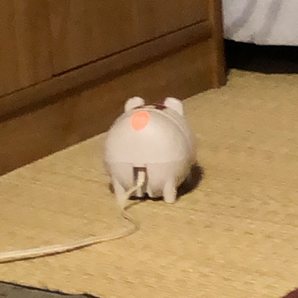 もえきち