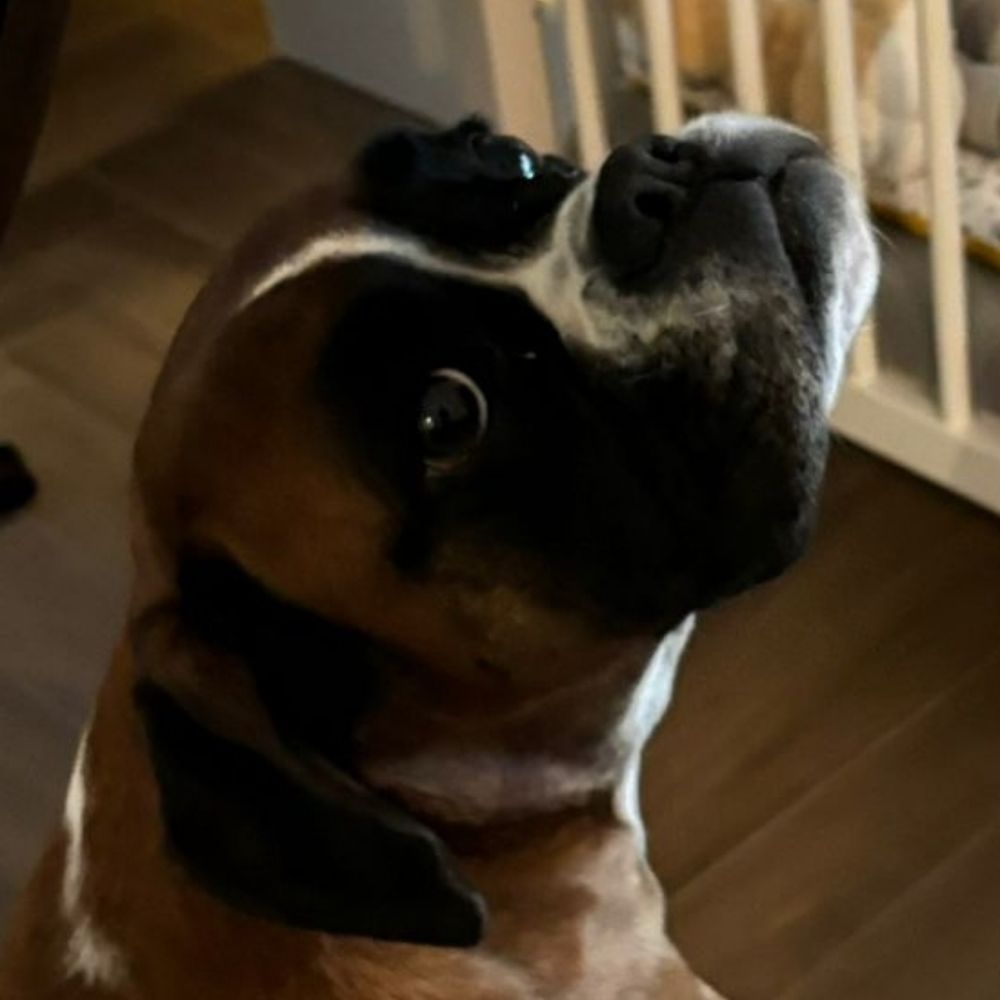 Marcel