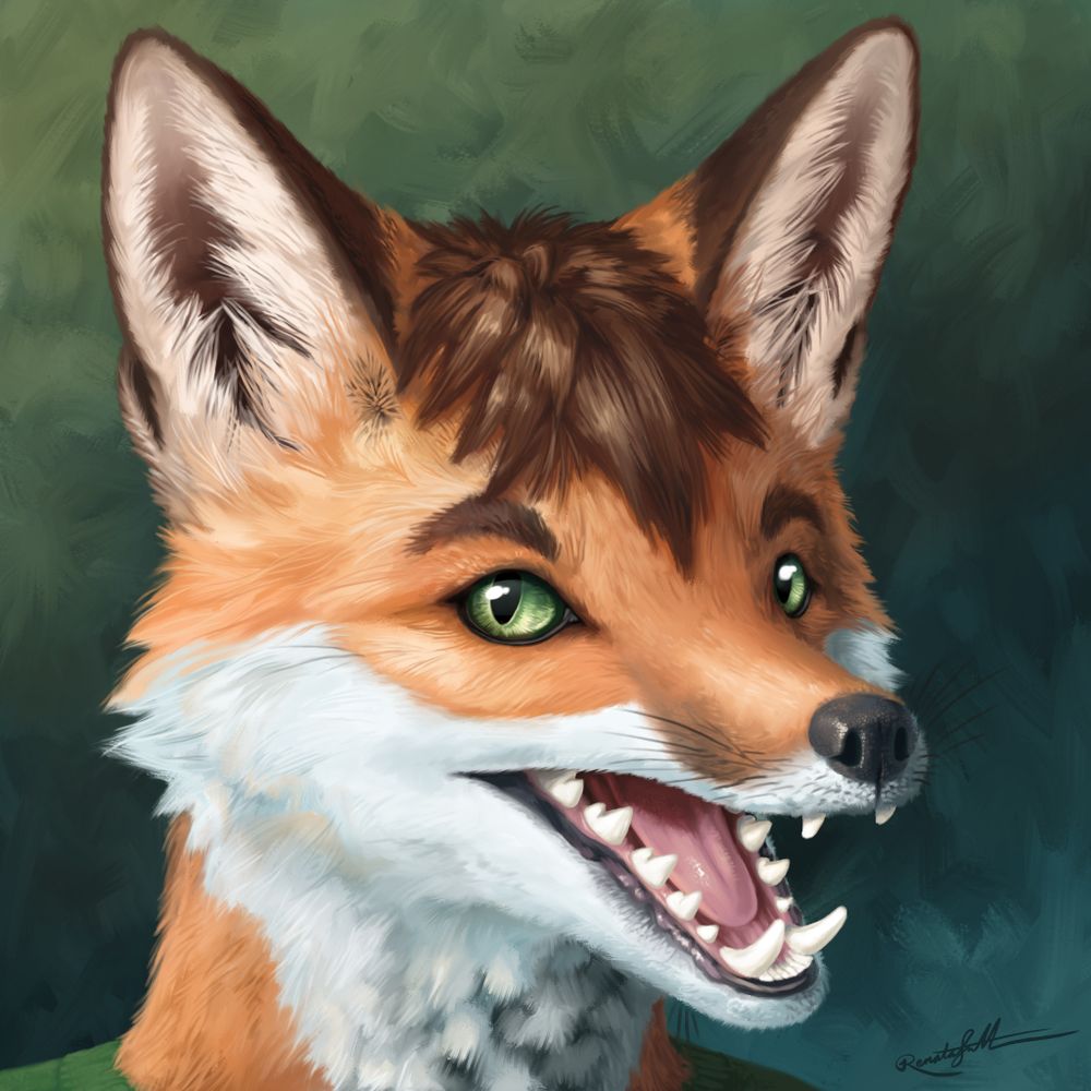 Profile picture yip.vulpine.engineer