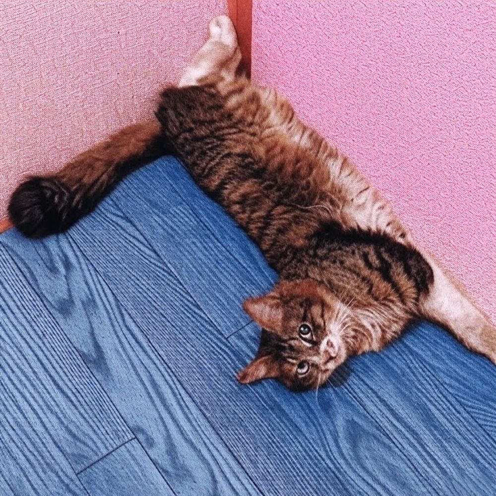 がらくたでぶ