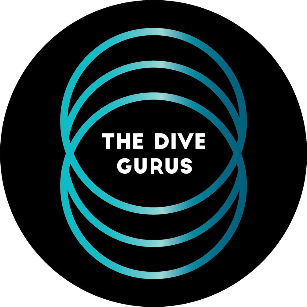 THE DIVE GURUS 